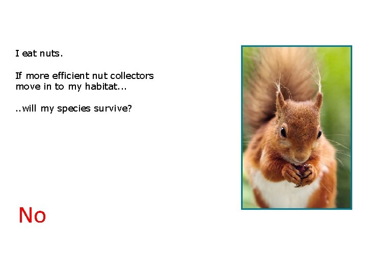 3. 2 Will we survive? I eat nuts. If more efficient nut collectors move