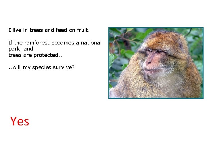 3. 2 Will we survive? I live in trees and feed on fruit. If