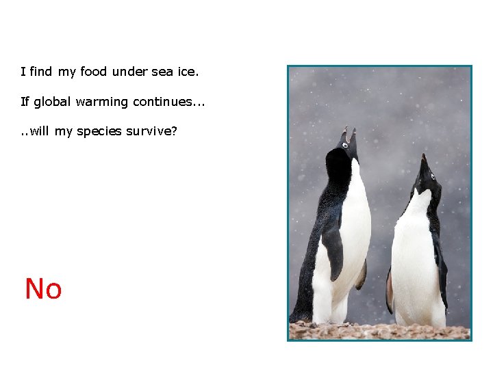 3. 2 Will we survive? I find my food under sea ice. If global