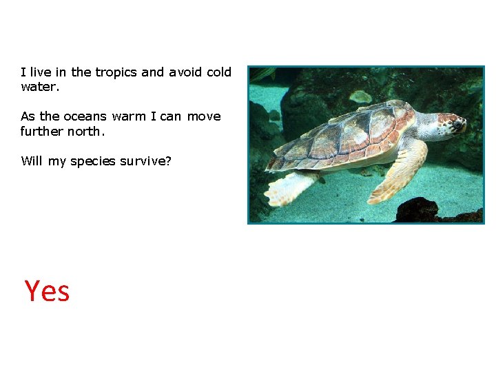 3. 2 Will we survive? I live in the tropics and avoid cold water.