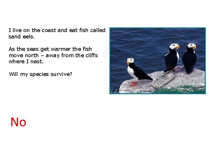 3. 2 Will we survive? I live on the coast and eat fish called