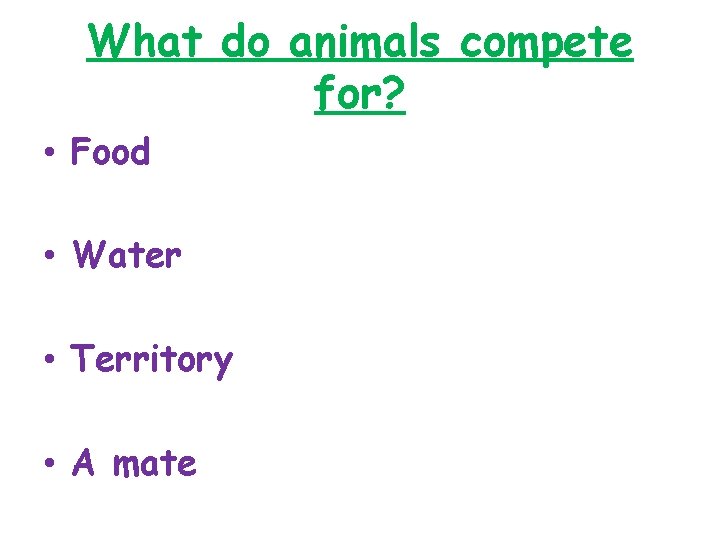 What do animals compete for? • Food • Water • Territory • A mate