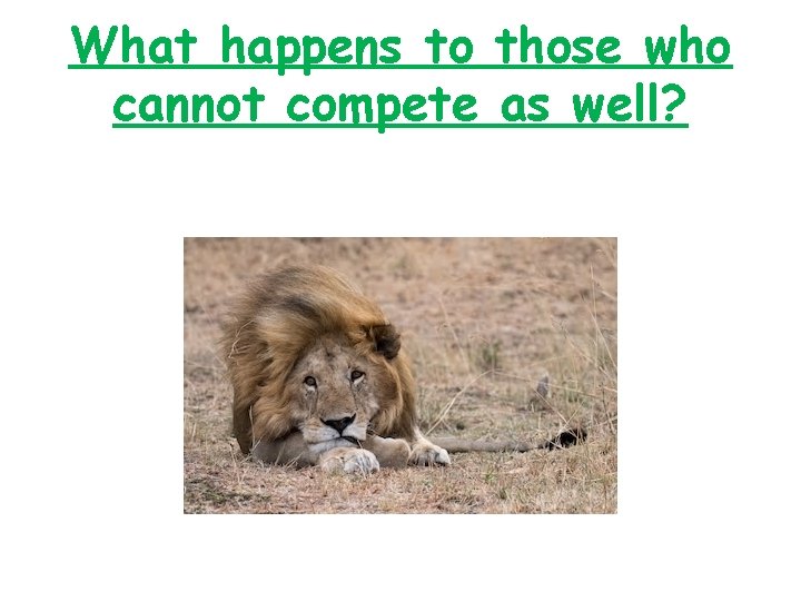 What happens to those who cannot compete as well? 