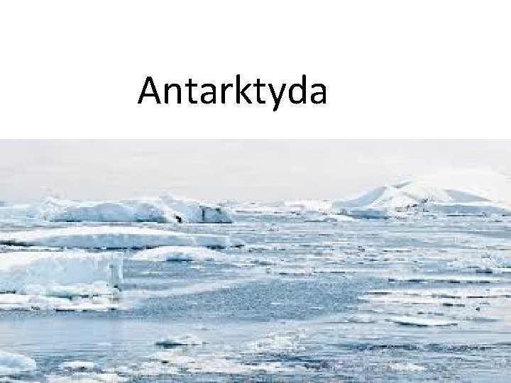 Antarktyda 