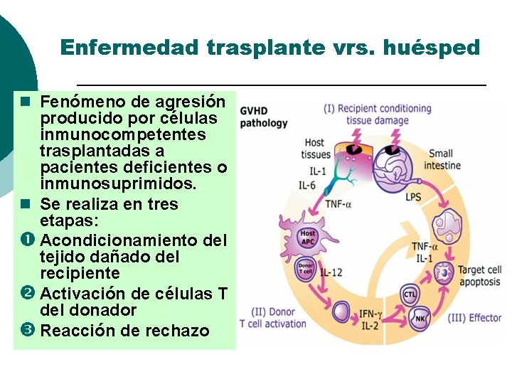 Enfermedad trasplante vrs. huésped n Fenómeno de agresión producido por células inmunocompetentes trasplantadas a