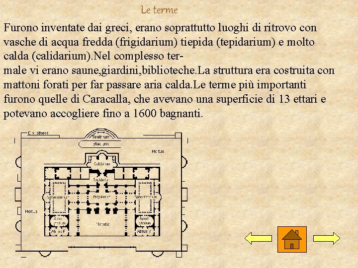 Le terme Furono inventate dai greci, erano soprattutto luoghi di ritrovo con vasche di