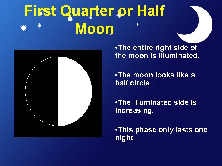 First Quarter or Half Moon • The entire right side of the moon is