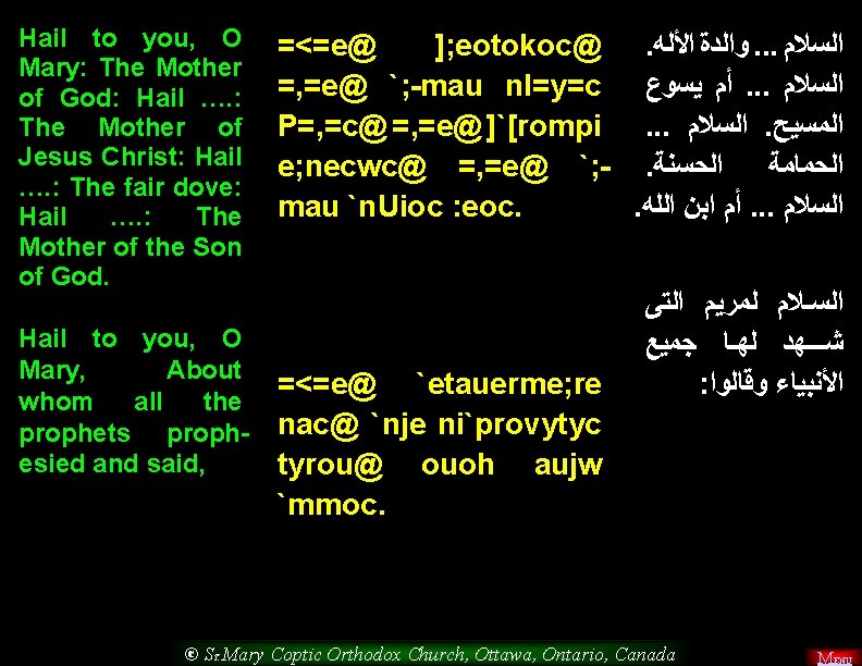 Hail to you, O Mary: The Mother of God: Hail …. : The Mother