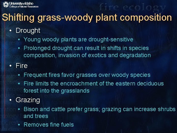 Shifting grass-woody plant composition • Drought • Young woody plants are drought-sensitive • Prolonged