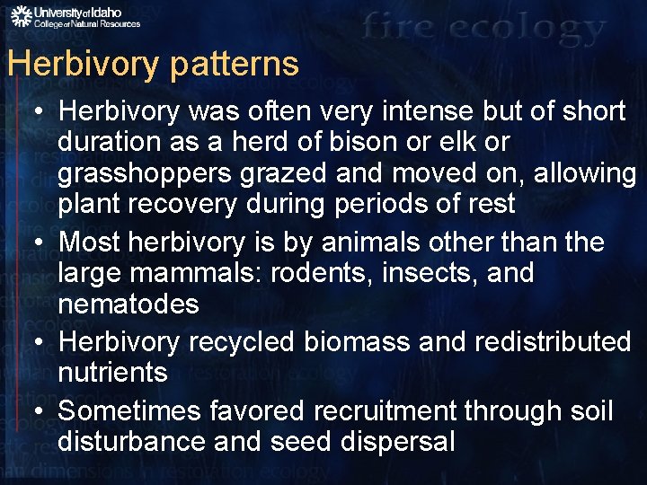 Herbivory patterns • Herbivory was often very intense but of short duration as a