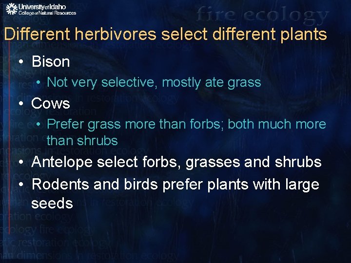 Different herbivores select different plants • Bison • Not very selective, mostly ate grass