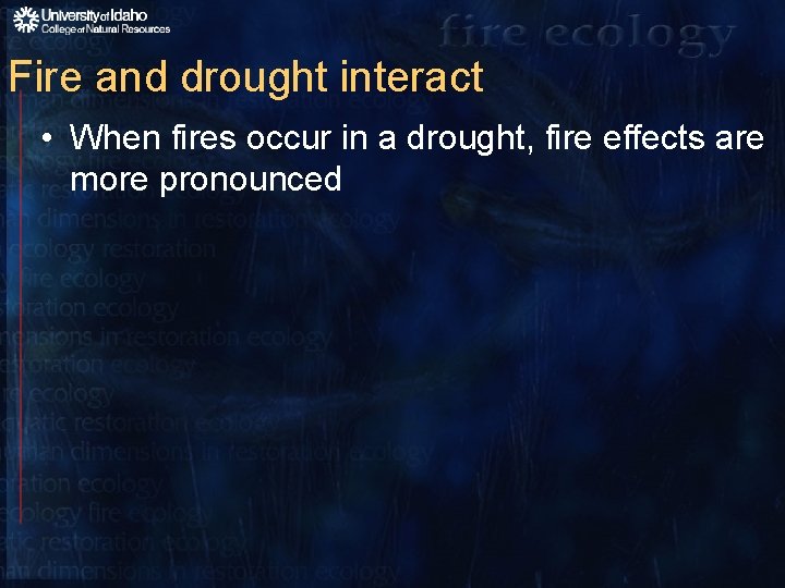 Fire and drought interact • When fires occur in a drought, fire effects are