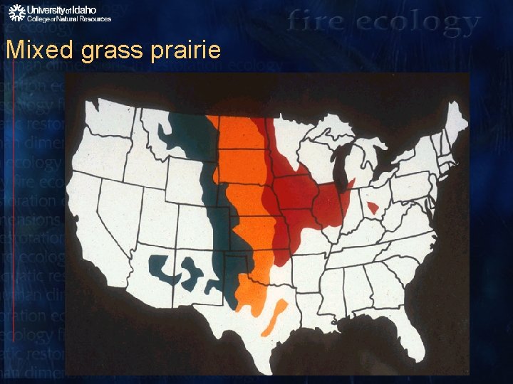 Mixed grass prairie 