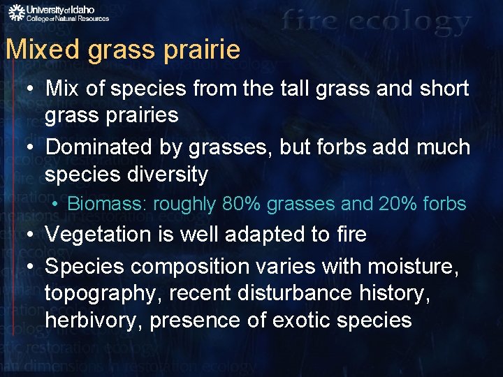 Mixed grass prairie • Mix of species from the tall grass and short grass