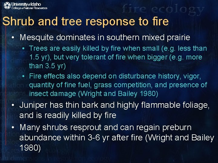 Shrub and tree response to fire • Mesquite dominates in southern mixed prairie •