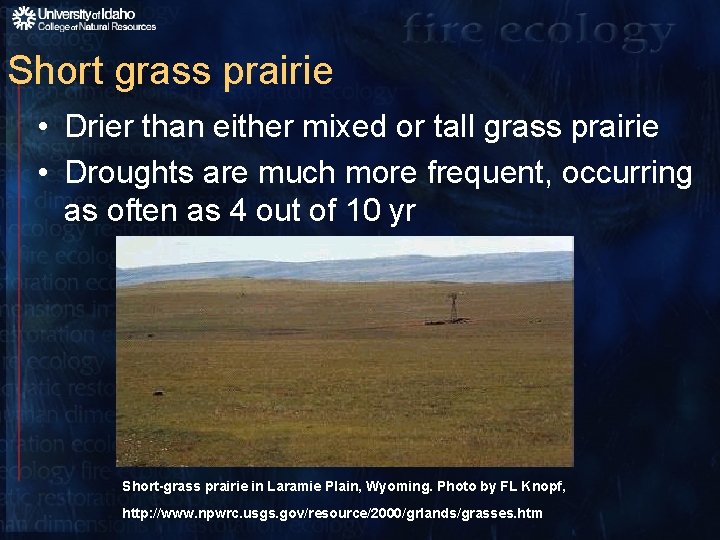 Short grass prairie • Drier than either mixed or tall grass prairie • Droughts