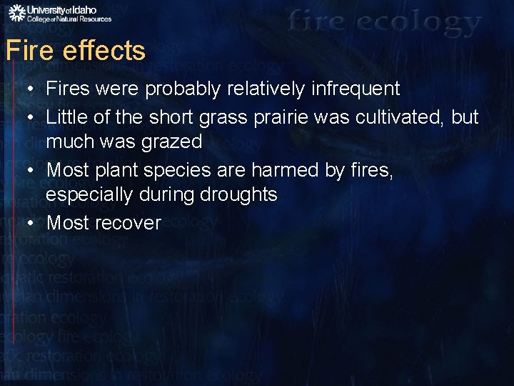 Fire effects • Fires were probably relatively infrequent • Little of the short grass