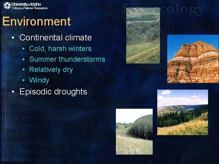 Environment • Continental climate • • Cold, harsh winters Summer thunderstorms Relatively dry Windy