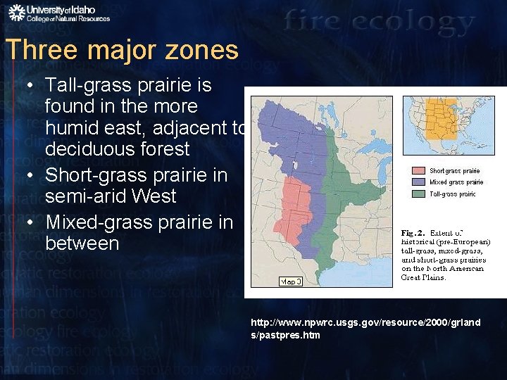 Three major zones • Tall-grass prairie is found in the more humid east, adjacent