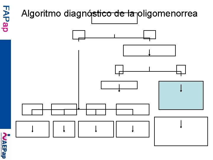 Algoritmo diagnóstico de la oligomenorrea Claves diagnósticas por historia o exploración No Sí Exploración