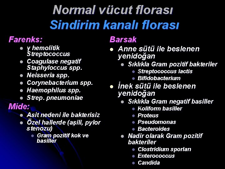 Normal vücut florası Sindirim kanalı florası Farenks: l l l γ hemolitik Streptococcus Coagulase