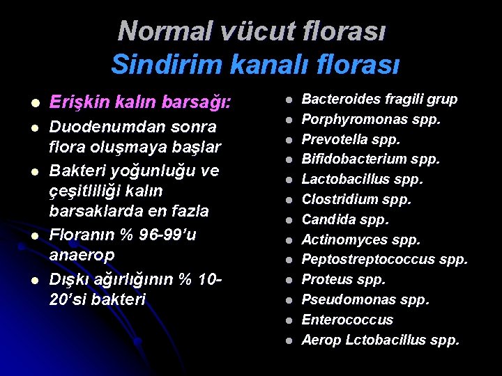 Normal vücut florası Sindirim kanalı florası l Erişkin kalın barsağı: l l Duodenumdan sonra