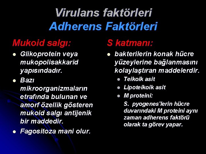 Virulans faktörleri Adherens Faktörleri Mukoid salgı: l l l Glikoprotein veya mukopolisakkarid yapısındadır. Bazı