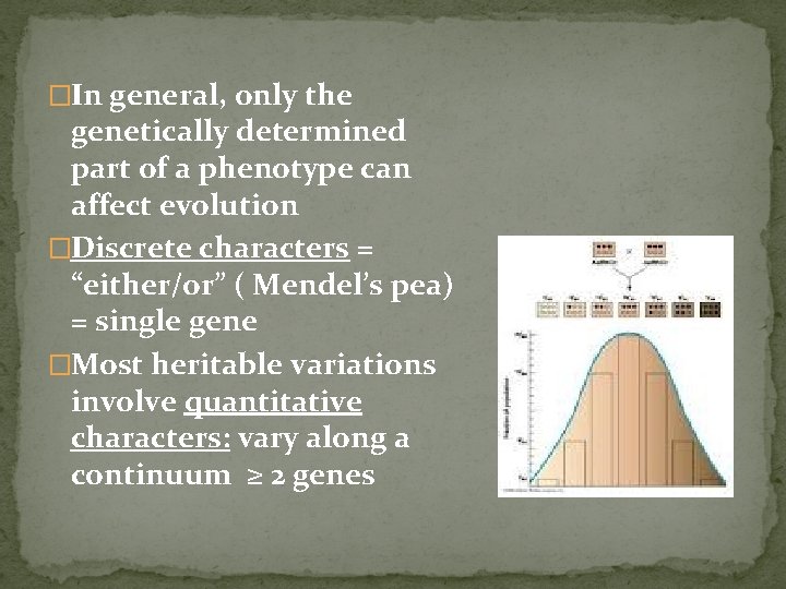 Phenotypically Variable Within Population Example AP Biology Chapter 23 The Evolution of Populations
