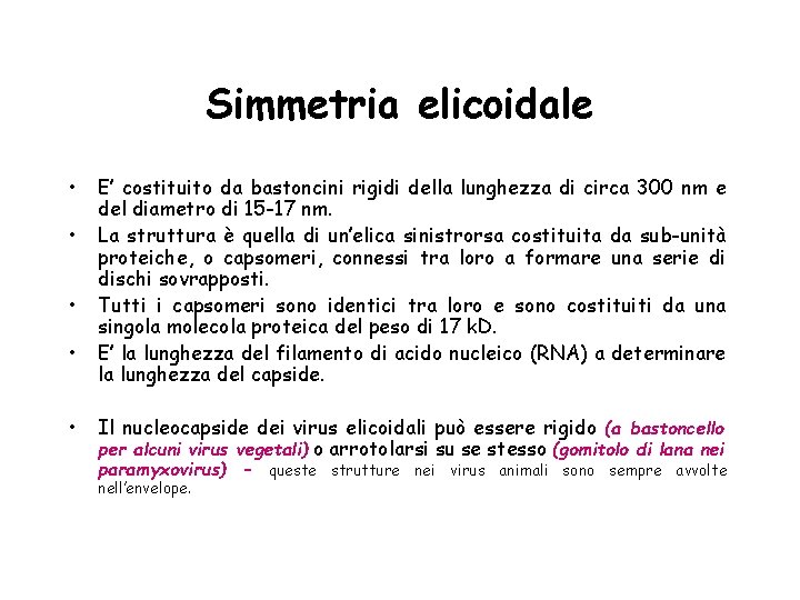 Simmetria elicoidale • • • E’ costituito da bastoncini rigidi della lunghezza di circa