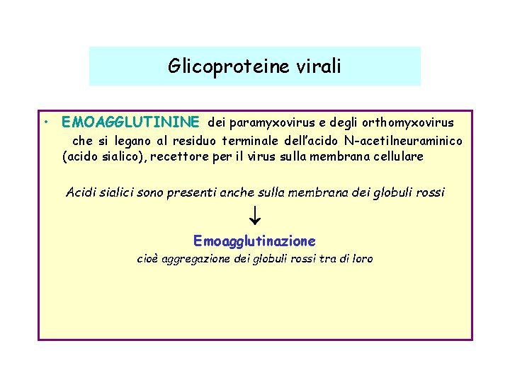 Glicoproteine virali • EMOAGGLUTININE dei paramyxovirus e degli orthomyxovirus che si legano al residuo