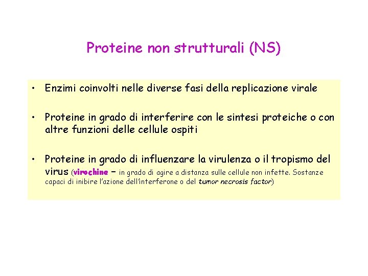 Proteine non strutturali (NS) • Enzimi coinvolti nelle diverse fasi della replicazione virale •