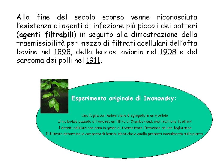 Alla fine del secolo scorso venne riconosciuta l’esistenza di agenti di infezione più piccoli