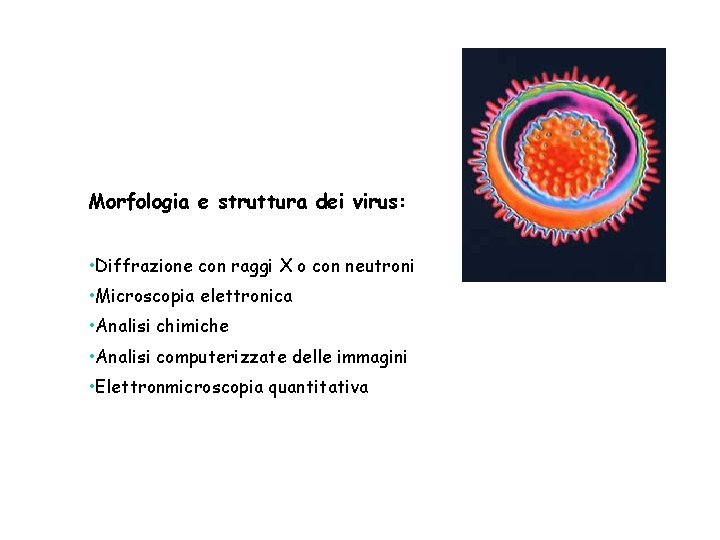 Morfologia e struttura dei virus: • Diffrazione con raggi X o con neutroni •