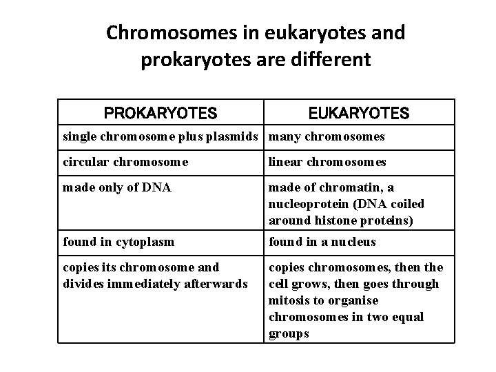 Chromosomes in eukaryotes and prokaryotes are different PROKARYOTES EUKARYOTES single chromosome plus plasmids many