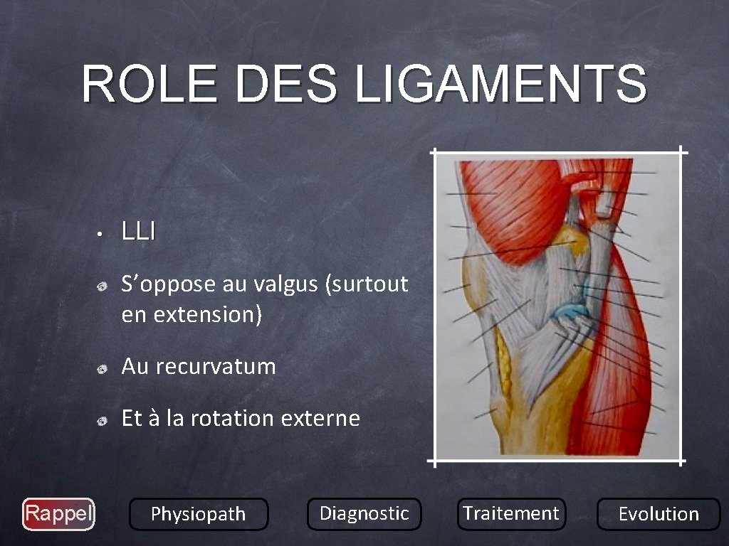 ROLE DES LIGAMENTS • LLI S’oppose au valgus (surtout en extension) Au recurvatum Et