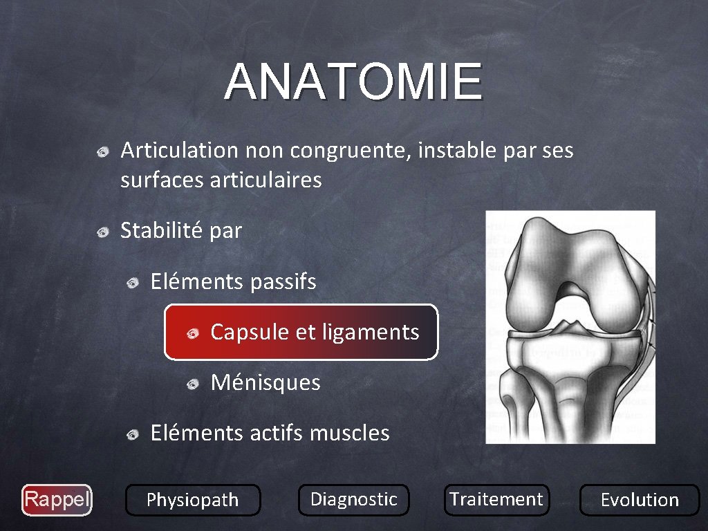 ANATOMIE Articulation non congruente, instable par ses surfaces articulaires Stabilité par Eléments passifs Capsule