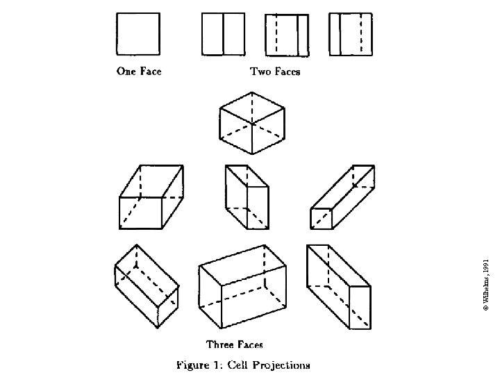 © Wilhelms, 1991 