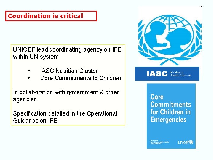 Coordination is critical UNICEF lead coordinating agency on IFE within UN system • •