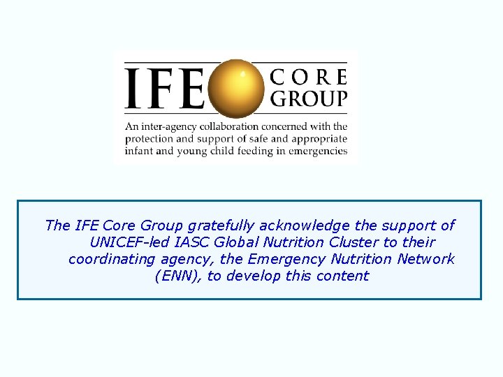 The IFE Core Group gratefully acknowledge the support of UNICEF-led IASC Global Nutrition Cluster