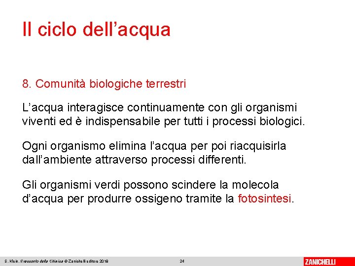 Il ciclo dell’acqua 8. Comunità biologiche terrestri L’acqua interagisce continuamente con gli organismi viventi