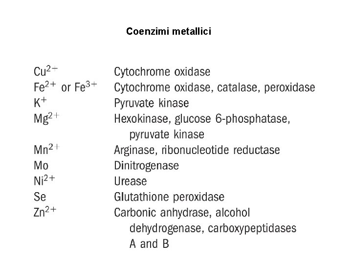 CO Coenzimi metallici Alcuni elementi che agiscono da 