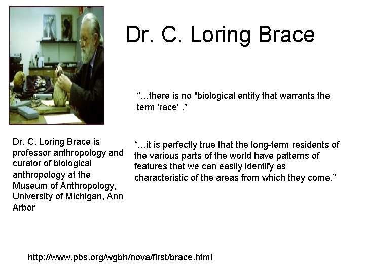 Dr. C. Loring Brace “…there is no "biological entity that warrants the term 'race'.