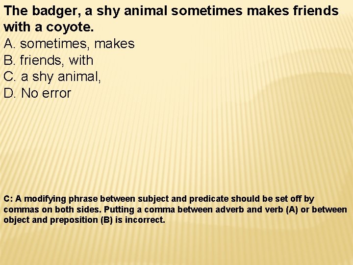 The badger, a shy animal sometimes makes friends with a coyote. A. sometimes, makes