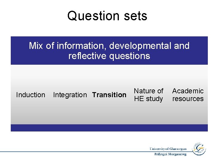 Question sets Mix of information, developmental and reflective questions Induction Integration Transition Nature of