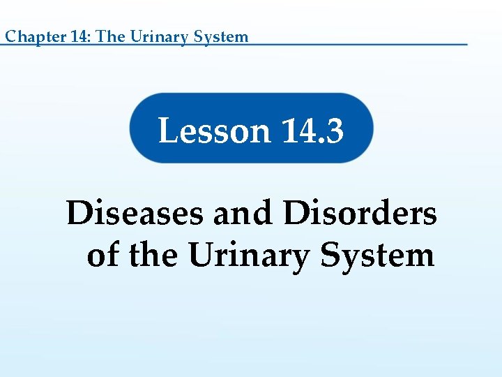 Chapter 14: The Urinary System Lesson 14. 3 Diseases and Disorders of the Urinary