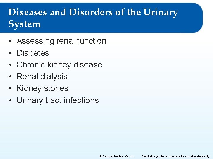 Diseases and Disorders of the Urinary System • • • Assessing renal function Diabetes
