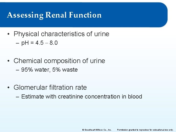 Assessing Renal Function • Physical characteristics of urine – p. H = 4. 5