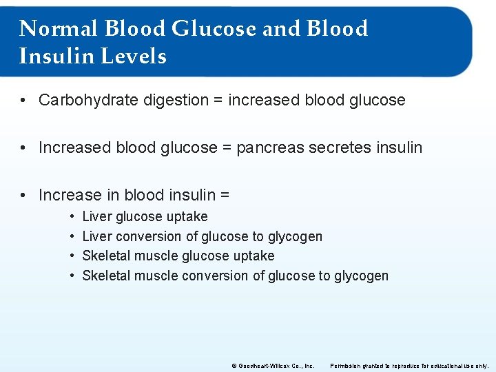 Normal Blood Glucose and Blood Insulin Levels • Carbohydrate digestion = increased blood glucose