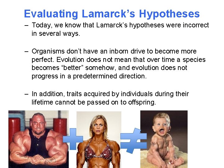 Evaluating Lamarck’s Hypotheses – Today, we know that Lamarck’s hypotheses were incorrect in several