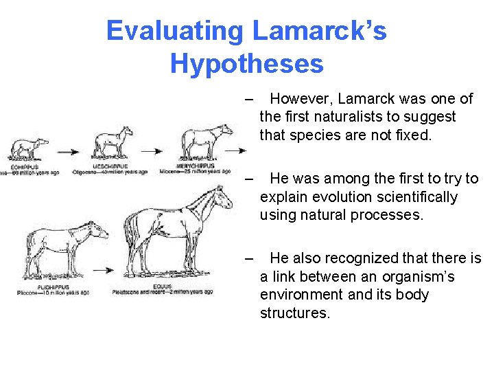 Evaluating Lamarck’s Hypotheses – However, Lamarck was one of the first naturalists to suggest